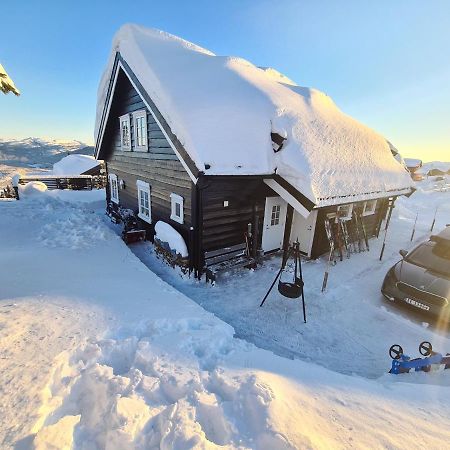 Vradal Panorama - Flott Hytte Pa Toppen Villa Sinnes Eksteriør bilde
