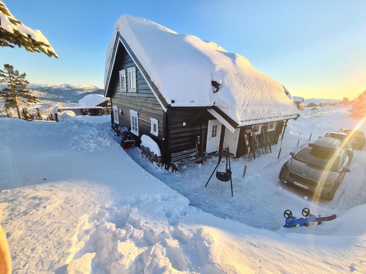 Vradal Panorama - Flott Hytte Pa Toppen Villa Sinnes Eksteriør bilde