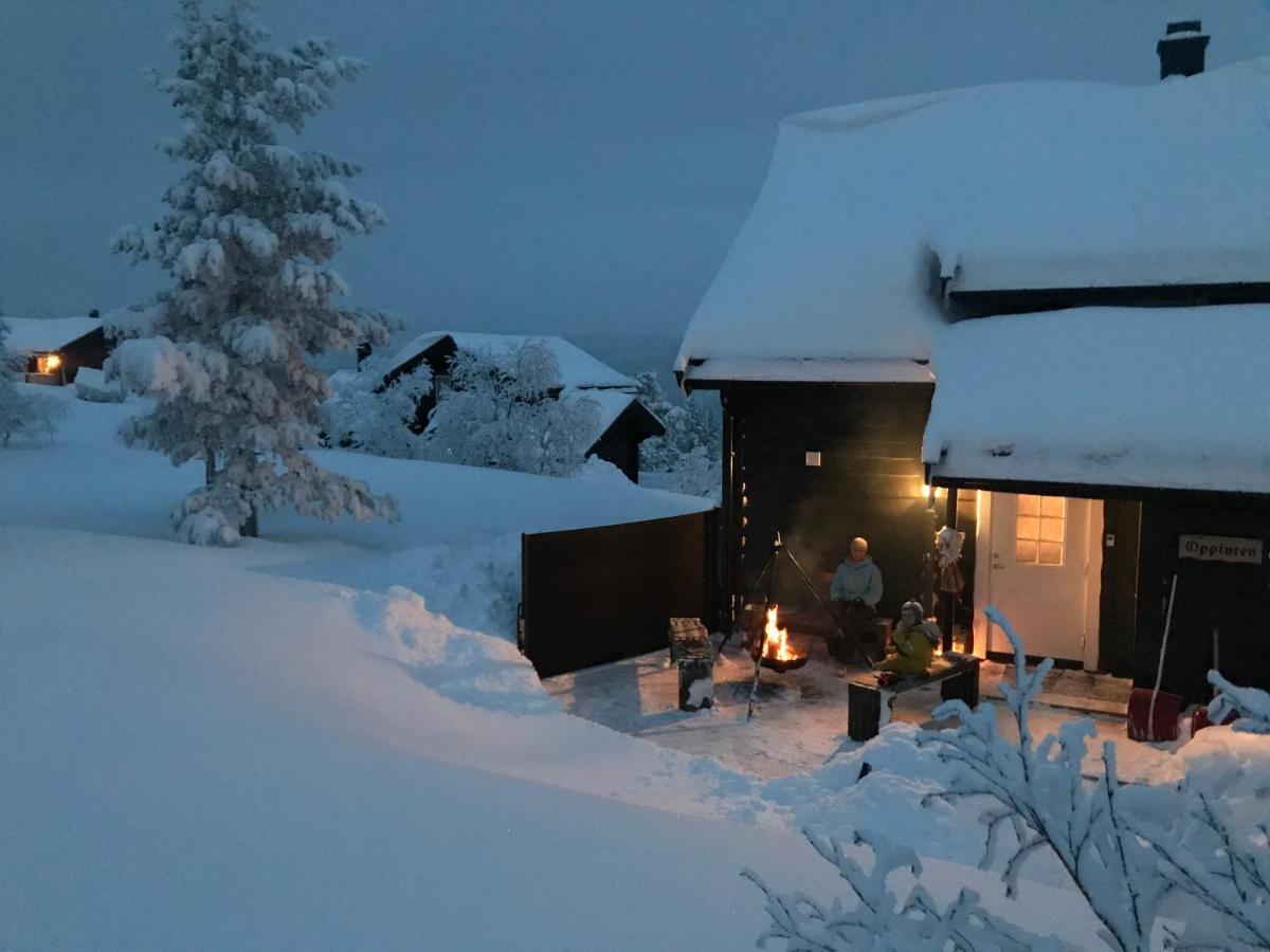 Vradal Panorama - Flott Hytte Pa Toppen Villa Sinnes Eksteriør bilde