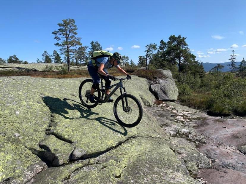 Vradal Panorama - Flott Hytte Pa Toppen Villa Sinnes Eksteriør bilde